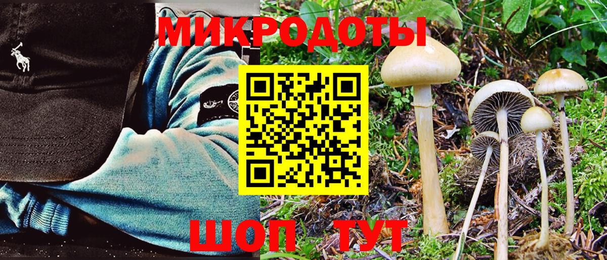 Псилоцибиновые грибы прущие грибы  Вход с VPN  Конаково  Галлюциногенные грибы Psilocybe 