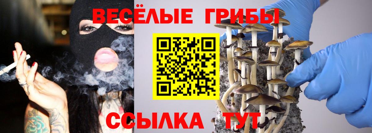 Псилоцибиновые грибы Magic Shrooms Конаково